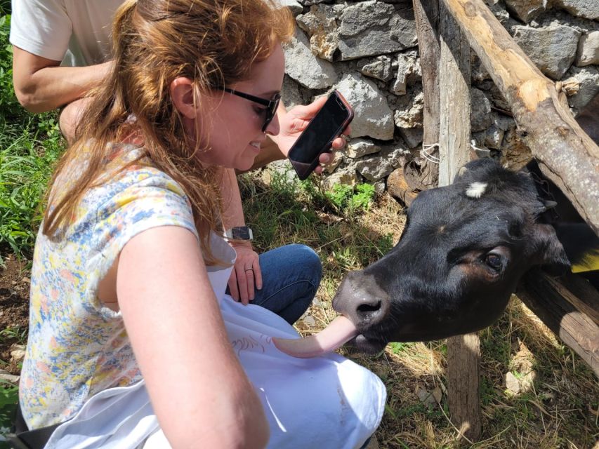 Amalfi: Make tagliatelle, mozzarella and tiramisù - Arriving at Valentino’s family farm