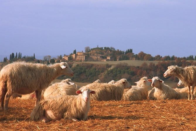 Authentic Pasta Class in Florence - Timing, group size, and what to bring