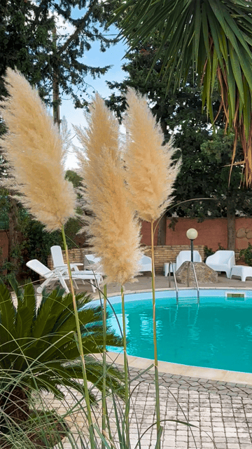 Cagliari: Workshop di pasta fresca tradizionale sarda - Should You Book the Culurgiones Workshop?