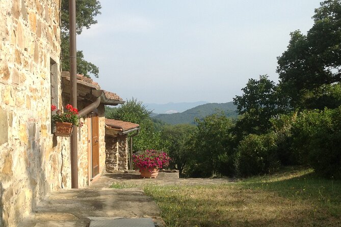 Cooking Class for Pasta Lovers in Florence Country House - Why the small group matters