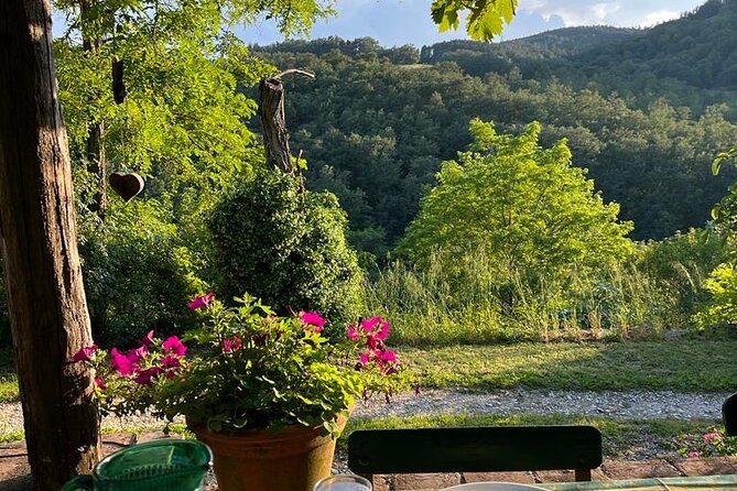 Cooking Class for Pasta Lovers in Florence Country House - The 20-minute ride into the Florentine hills
