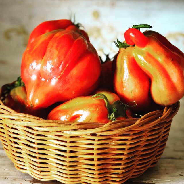 Cortona: Pasta and Pizza Cooking Class - Key Points Before You Book