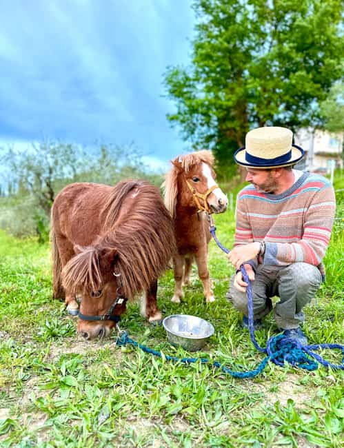 Florence: Countryside Tour with Wine Tasting & Pasta Class - Five organic wines inside the cellar