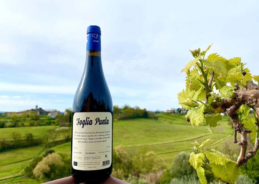 Florence: Countryside Tour with Wine Tasting & Pasta Class - How the $71 price compares with the experience
