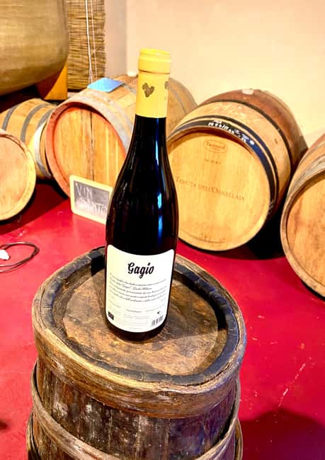 Florence: Countryside Tour with Wine Tasting & Pasta Class - Should you book the farm day from Florence?