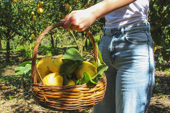Fresh pasta and Limoncello course in a lemon grove - Key details at a glance