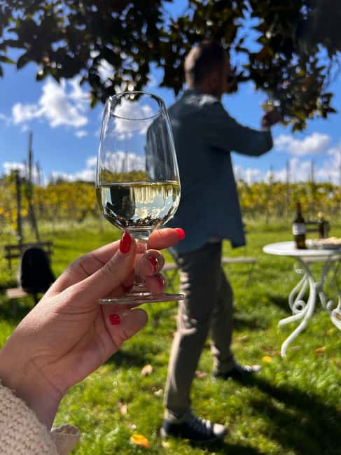 From Rome: Pasta Masterclass & Wine Tour in the Vineyard - A short vineyard walk with a long story