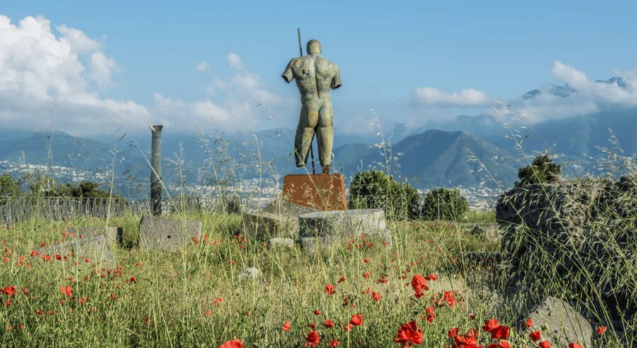 From Rome: Pompei by Bullet Train with Pasta Class & Lunch - Who will enjoy this Pompeii day trip?