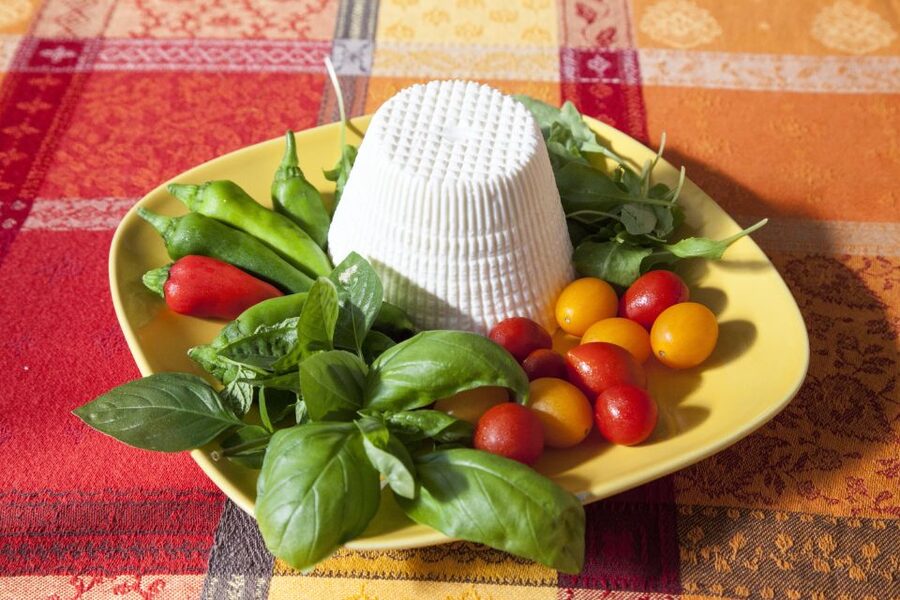 Lecce: Private Pasta-Making Class at a Local's Home - Timing, meeting details, and practical planning