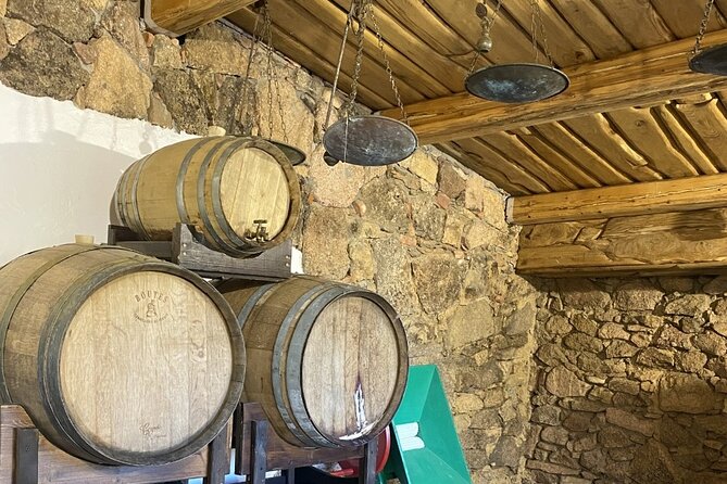 LONGEVITY TOUR: Pasta Class&BlueZone Secrets with Simonetta Bazzu - Visiting the small wine cellar