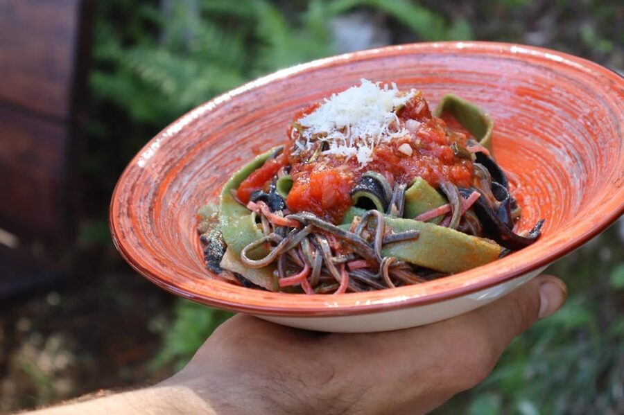 Lucca: Private Home-made Pasta Cooking Class - What the $147.27 price really buys