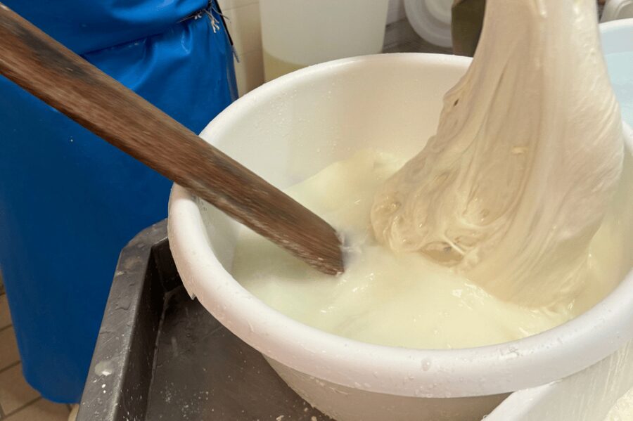 Martina Franca: Mozzarella and Pasta Workshop with Farm Tour - Why this Martina Franca farm visit feels different
