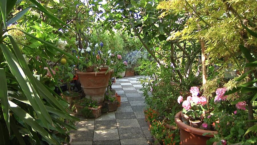 Milan: Fresh Pasta & Tiramisù Class in a Glamorous Home - Entering a Milanese home filled with art