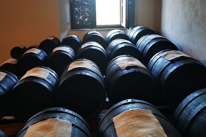 Parmigiano Reggiano, Balsamic Vinegar and fresh pasta tour - Stop one: inside a Parmigiano Reggiano dairy