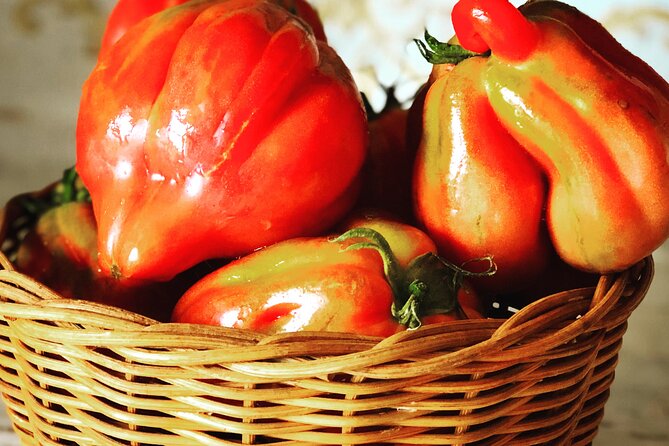 Pasta and Pizza cooking class in Cortona - What the Cortona and Duomo reference means