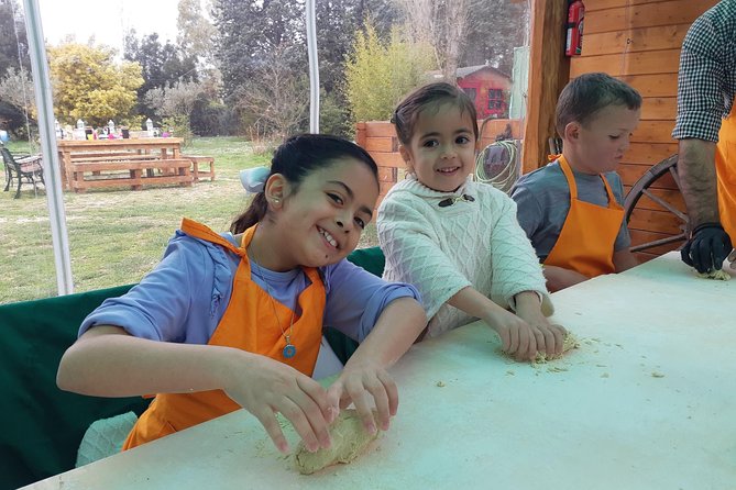 Pasta and Pizza Master Class and Tiramisu tasting - Learning more than 10 pasta shapes