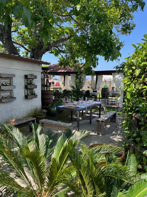 Pasta Cooking Class in a Garden near Pompeii - Sitting down to a genuine family meal