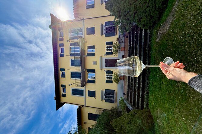 Pasta, meatballs and ice cream in a villa in the hills of Florence - Starting with cheese, salami, and a welcome drink