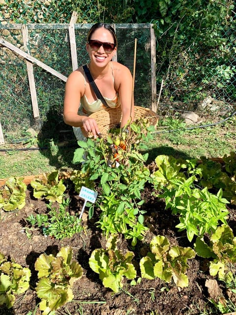 Pick Vegetables at the farm & Cook pasta - Starting with coffee, vines, and the vegetable garden