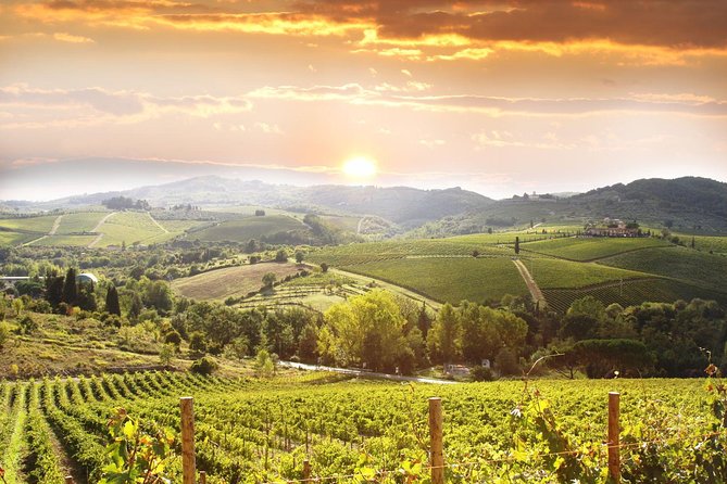 Private Pisa, Pasta and Chianti Lovers Wine Experience Livorno Shore Excursion - A cruise-day plan with a clear rhythm