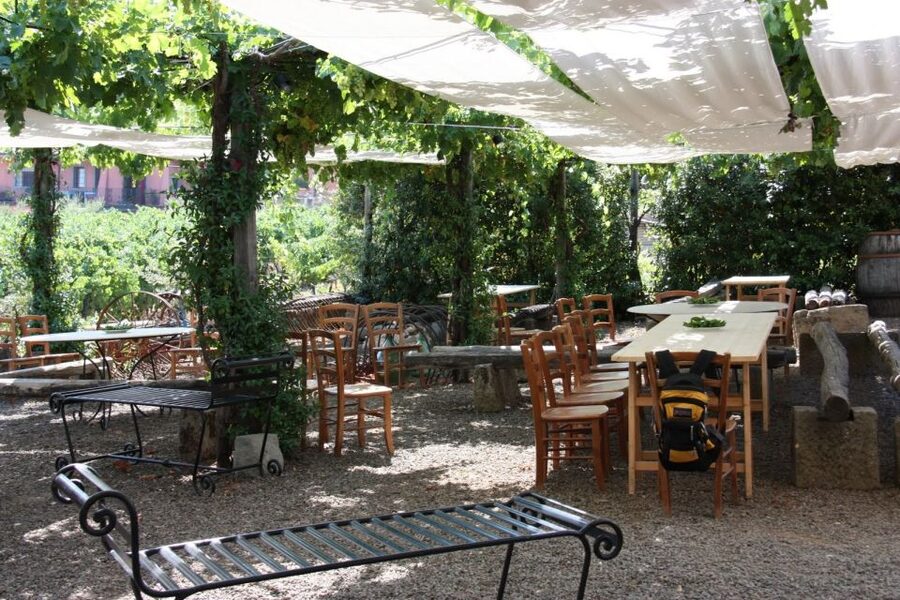 Rome: Private Wine Tour and Pasta Making Class in a Winery - Lunch with Roman pizza and garden produce