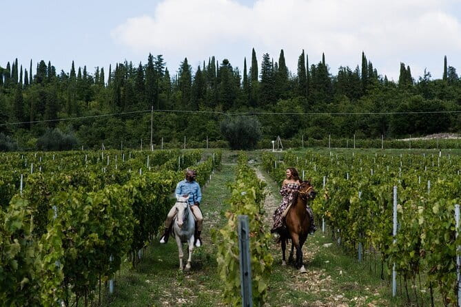 Small Group Pasta Making Class Wine Tasting in a Tuscan Castle - Is $157.28 a fair price?