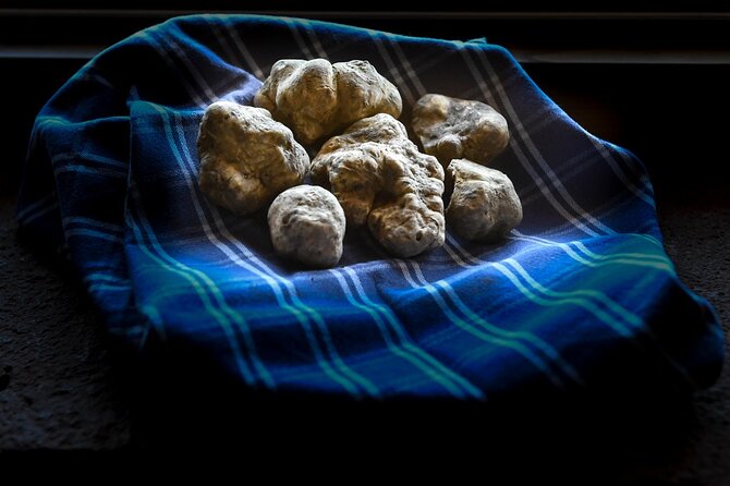 Truffle Hunting and Handmade Pasta in Ascoli Piceno - What to Wear for the Outdoor Portion