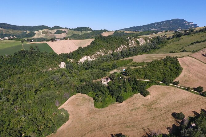 Truffle Hunting and Handmade Pasta in Ascoli Piceno - A Full Lunch With Truffle Toast and Sparkling Wine