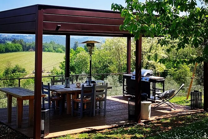 Truffle Hunting in Chianti, pasta class and lunch - The view from the terrace