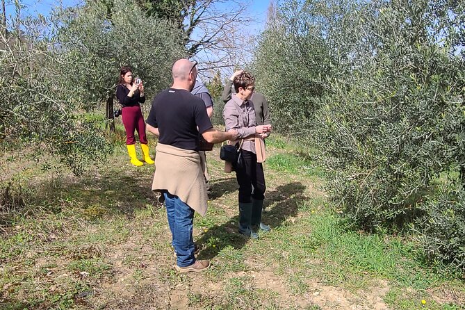 Truffle Hunting in Chianti, pasta class and lunch - How much value do you get for $191.72?