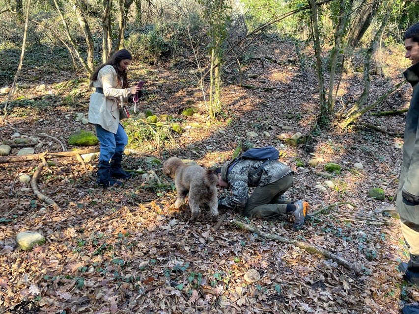 Truffle hunting in Chianti with pasta cooking class & lunch - Key points to know before booking