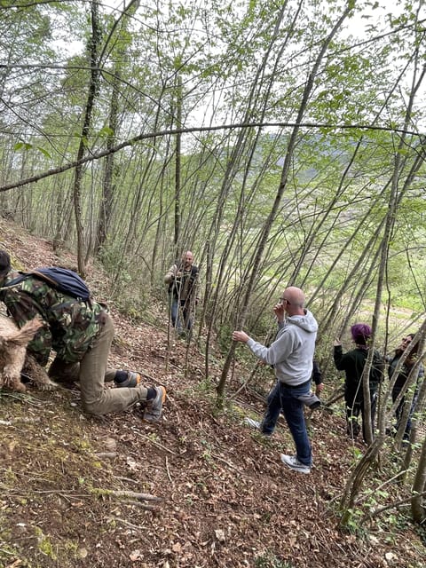 Truffle hunting in Chianti with pasta cooking class & lunch - A truffle lunch above the olive grove