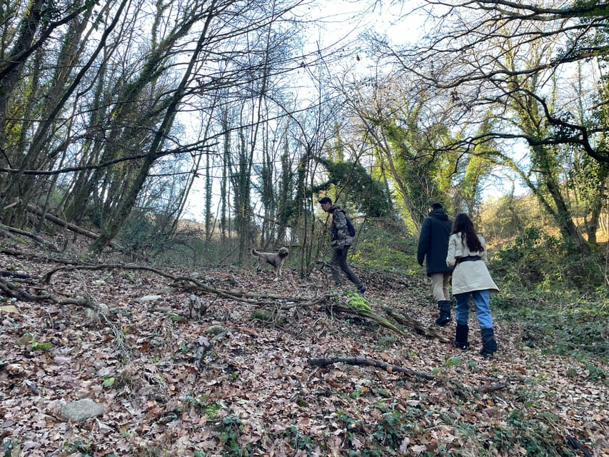 Truffle hunting in Chianti with pasta cooking class & lunch - Starting at Cofferi 1242 near Greve