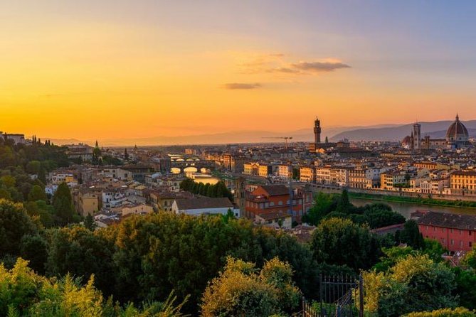 Vegan Cooking Class in Florence: Pasta Making & Wine! - Learning pasta from scratch with a vegan chef